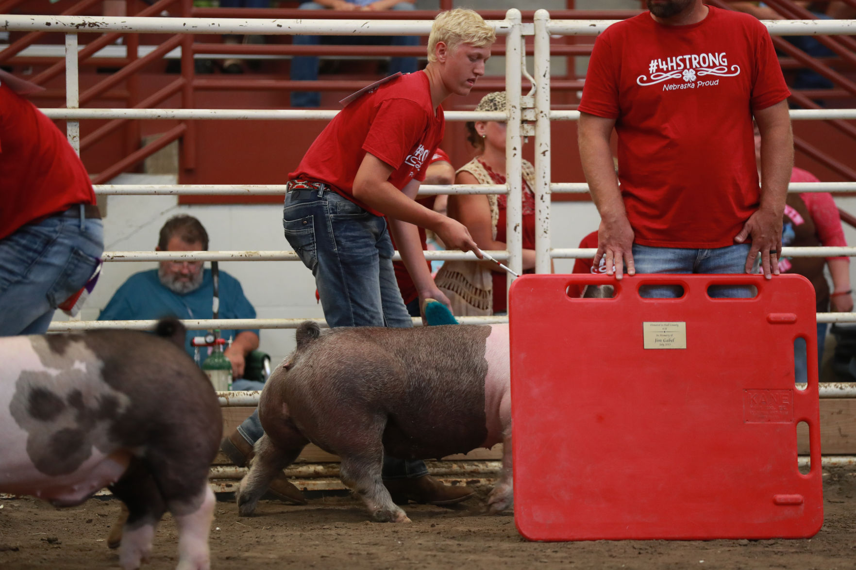 071119_HallCoFair48_bjs.JPG